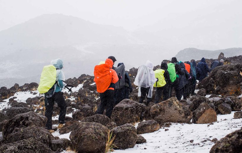 7 Days Hiking Kilimanjaro Rongai Route