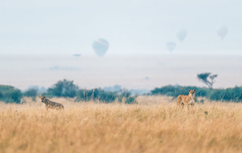 3 Days Budget Safari in Tanzania