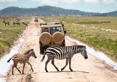 What to expect on a safari in Tanzania?
