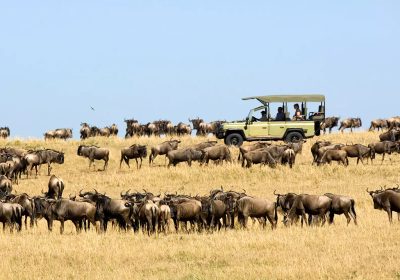 When is the best time for a safari in Tanzania?