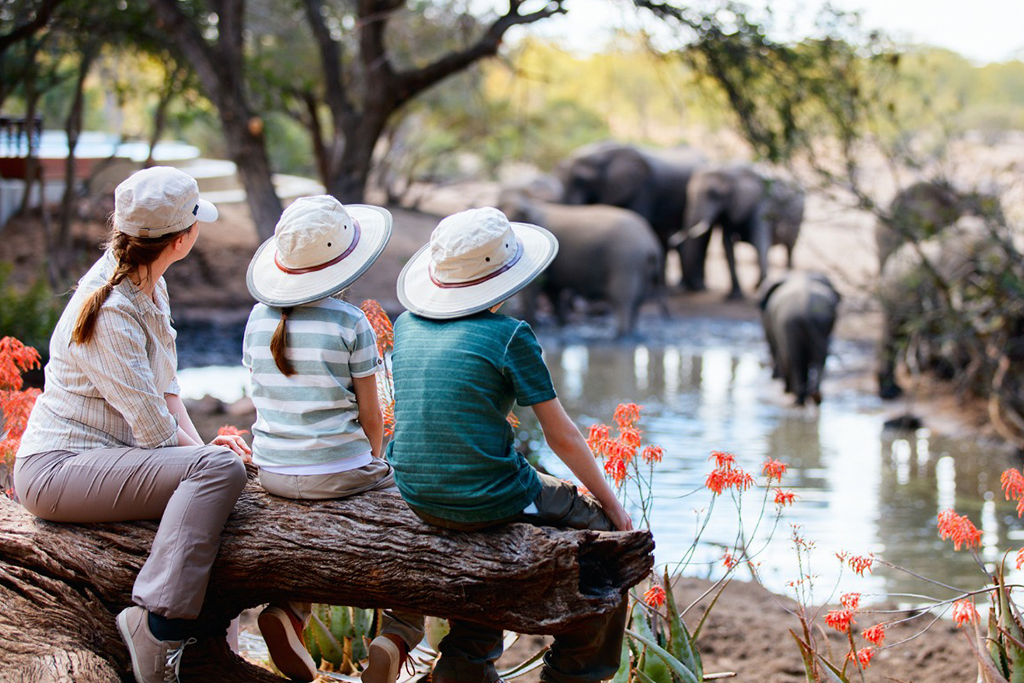 Family Safari - 4