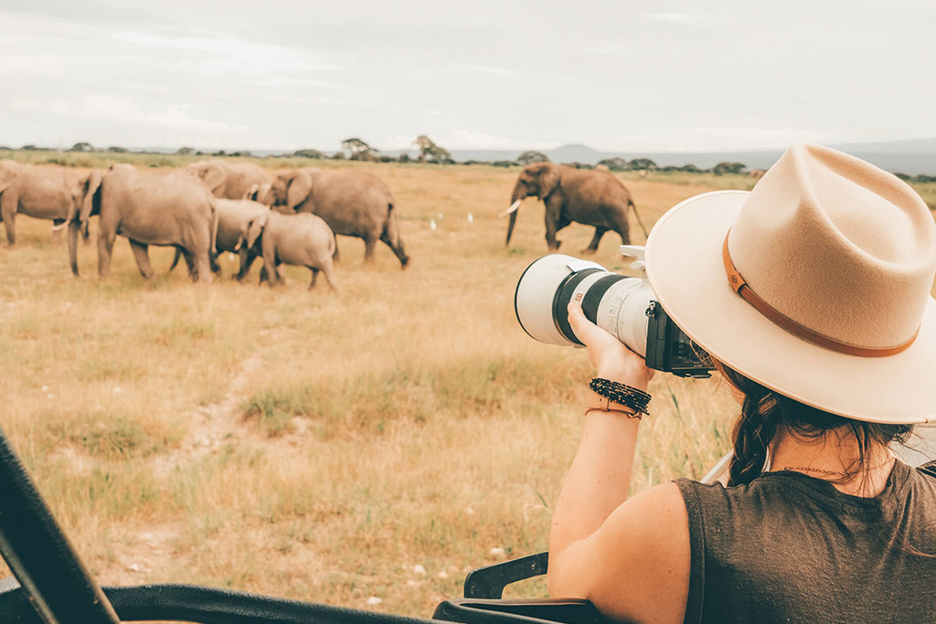 Photography Safari-3