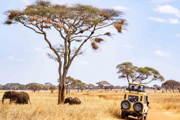9-Day Safari in Tanzania