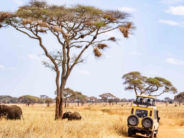 9-Day Safari in Tanzania