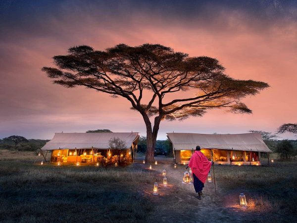 5-Day Safari in Tanzania
