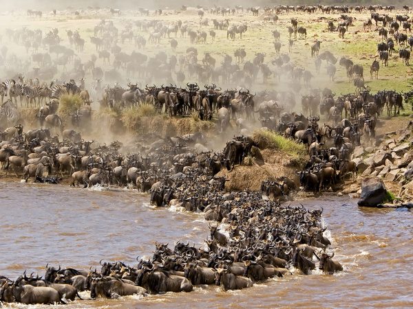 4-Day Safari in Tanzania